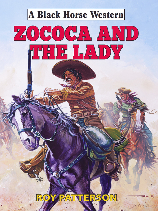 Cover image for Zococa and the Lady